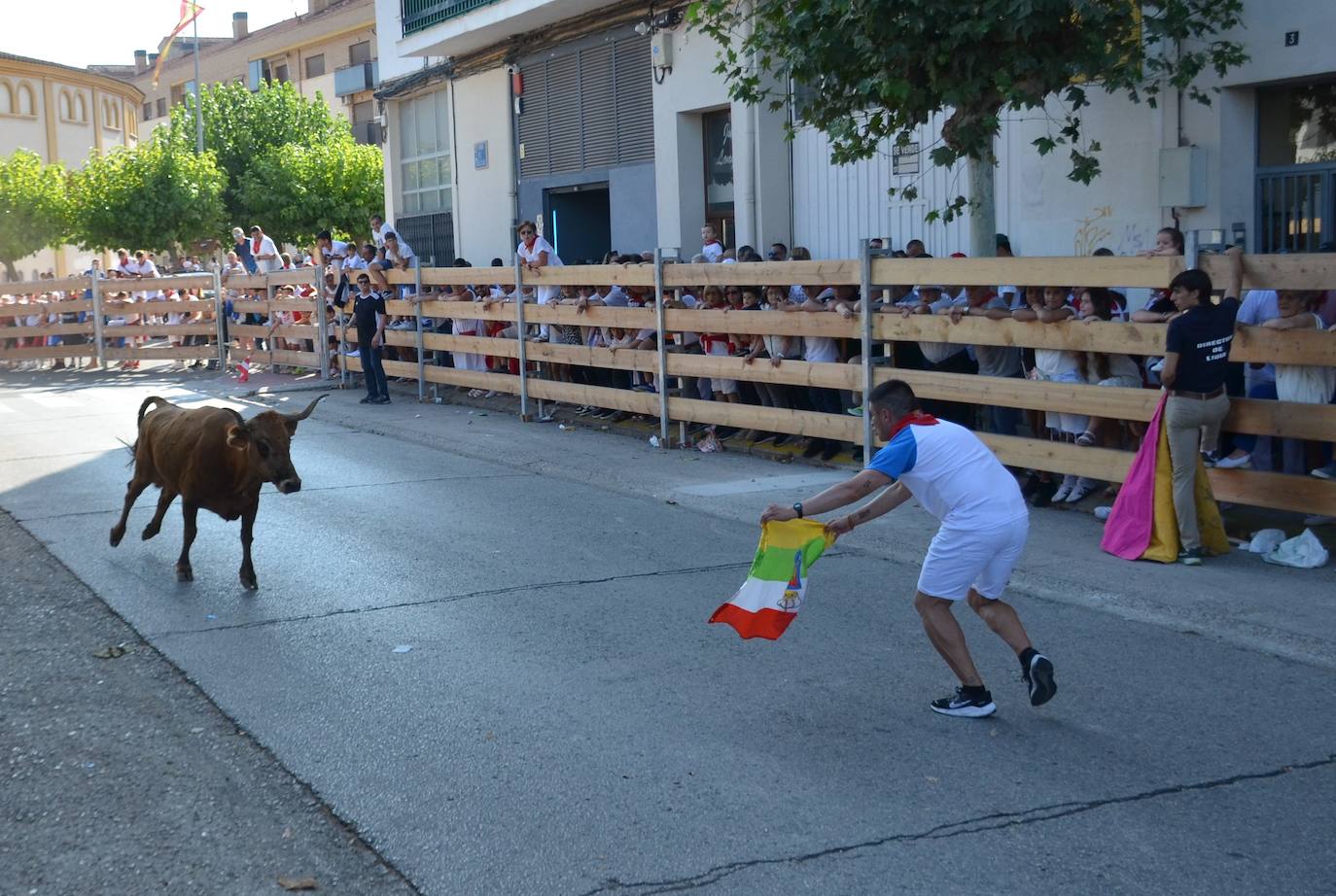 Las mejores fotos de encierro del domingo