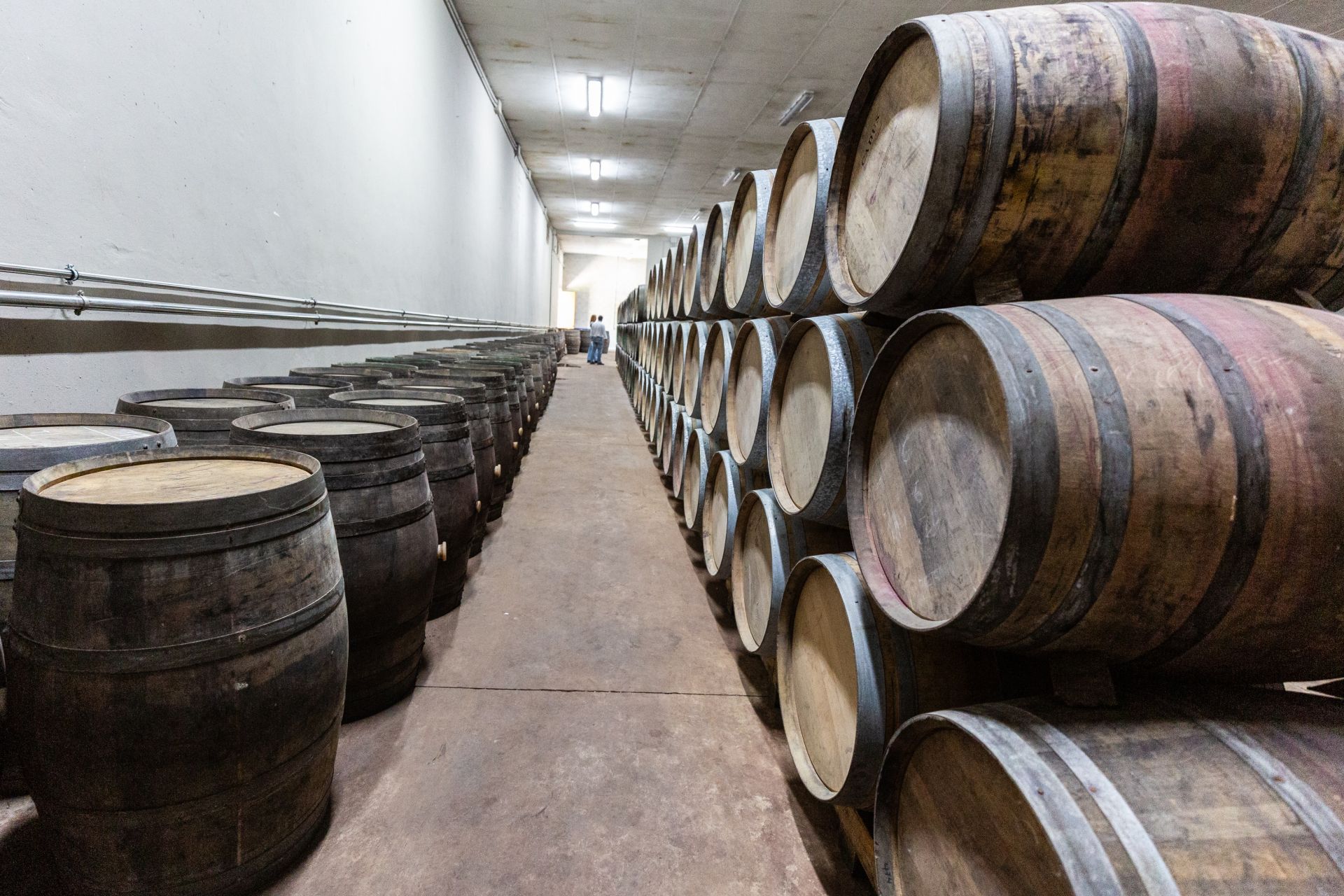 Zona de barricas de una bodega riojana.