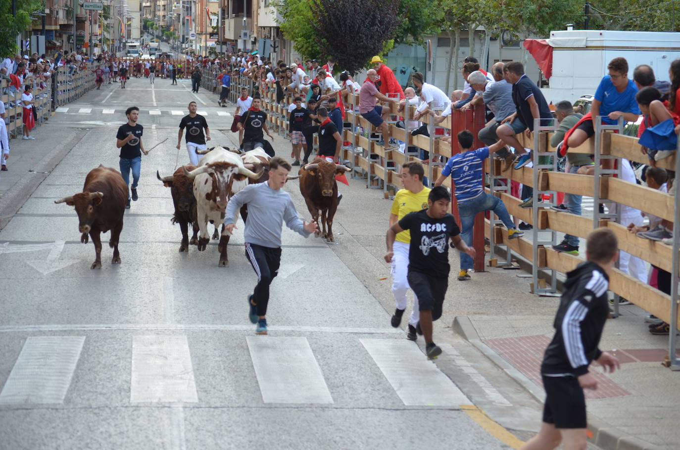Mañana de novillos y tarde de risas con el Grand Prix en Calahorra