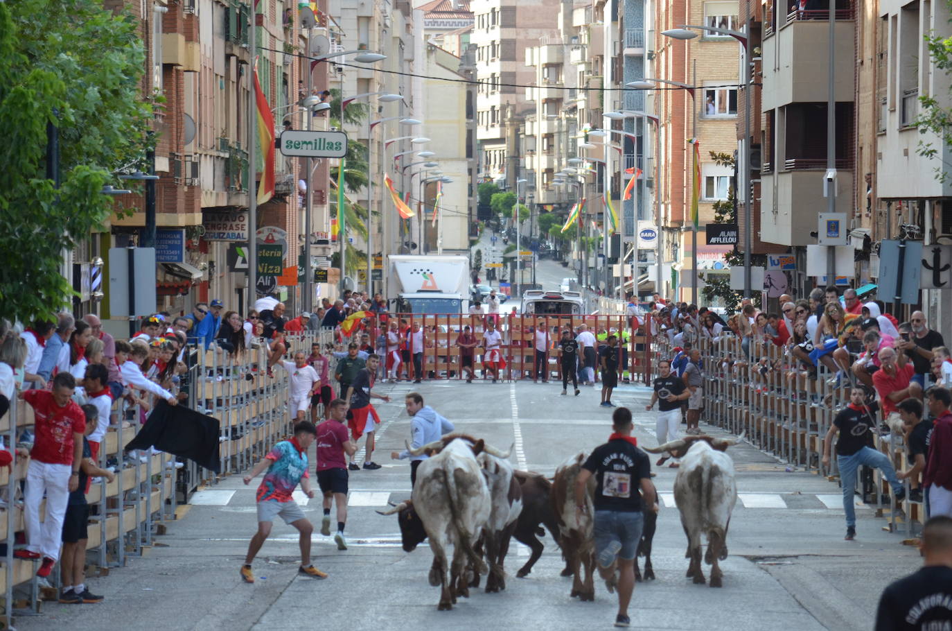 Mañana de novillos y tarde de risas con el Grand Prix en Calahorra