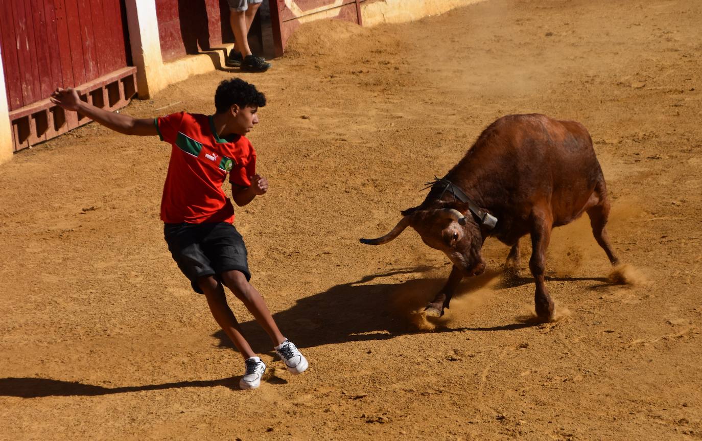 Día de degustaciones en Calahorra