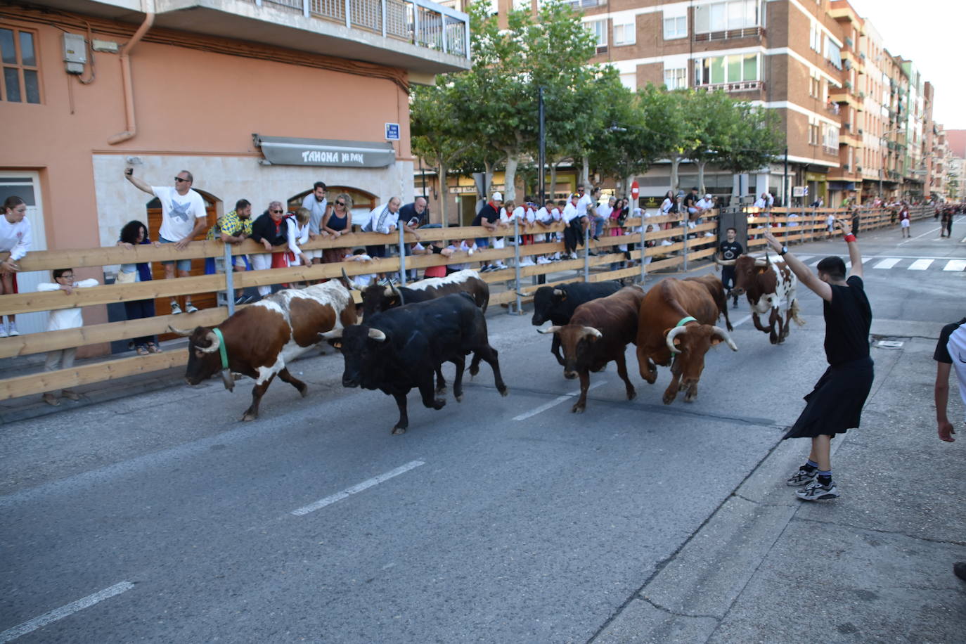 Día de degustaciones en Calahorra