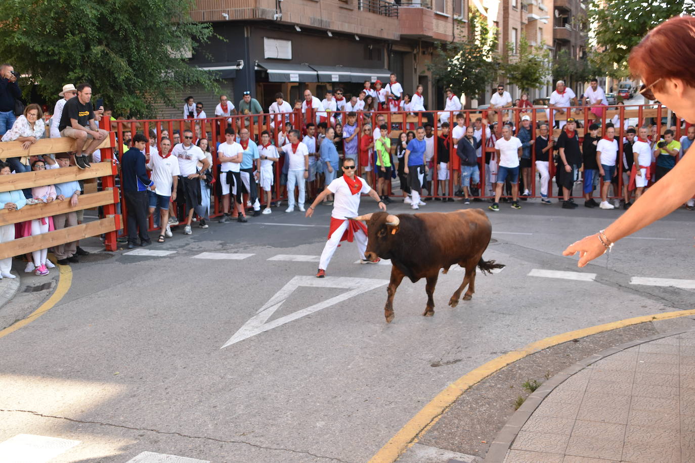 Día de degustaciones en Calahorra