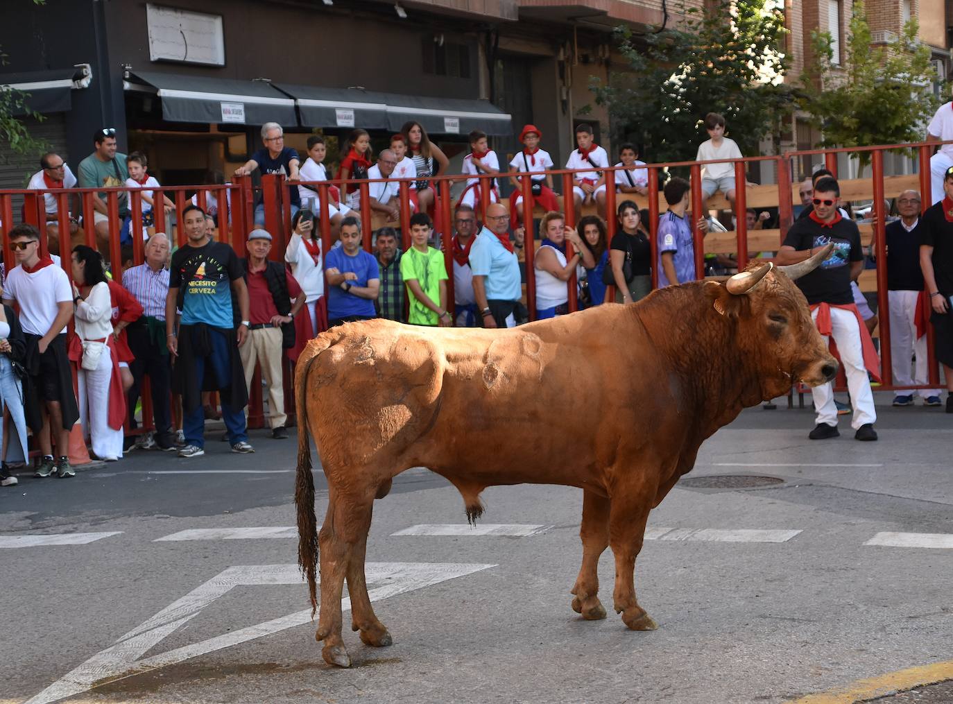 Día de degustaciones en Calahorra