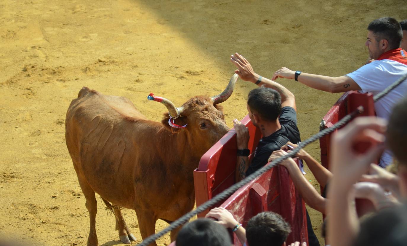Las imágenes del miércoles en las fiestas de Calahorra