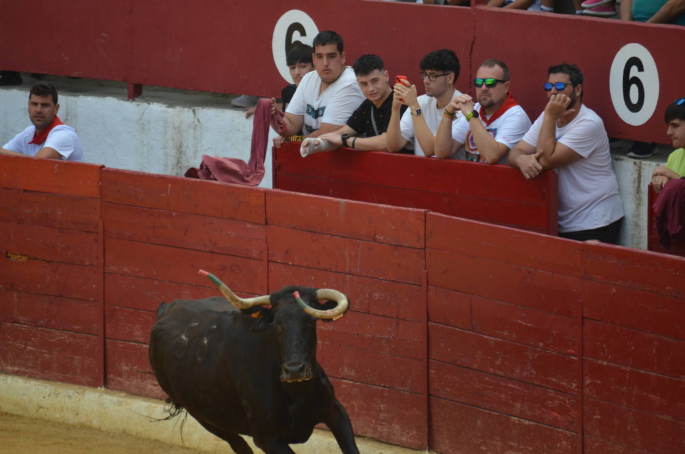 Las imágenes del miércoles en las fiestas de Calahorra