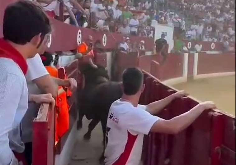 Una vaquilla se coló en el callejón.