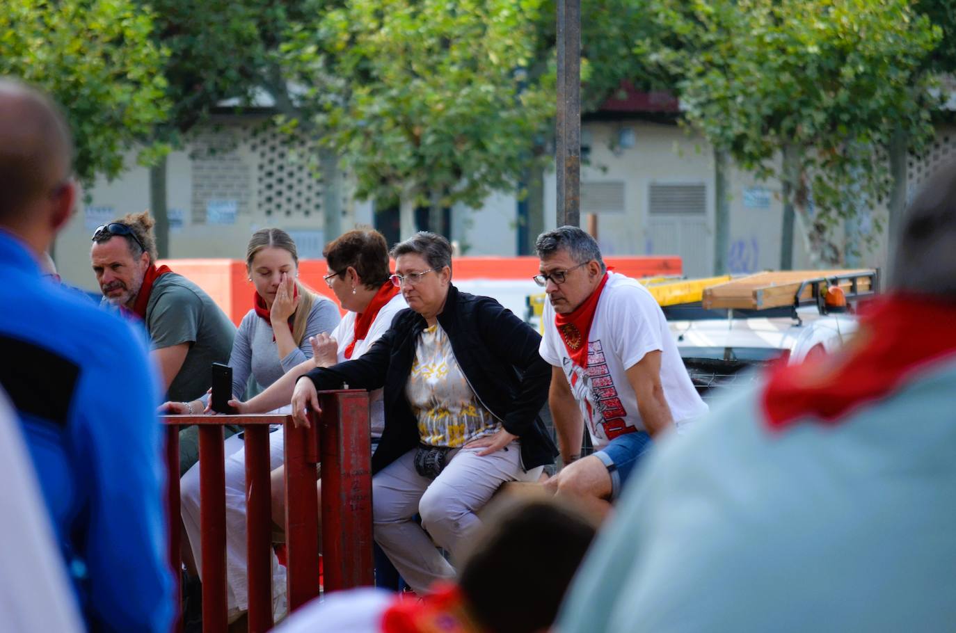 Las imágenes de la ofrenda de flores a los patronos en Calahorra