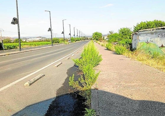 Vegetación que invade el carril-bici hacia el hospital, la queja de hoy en La Guindilla.