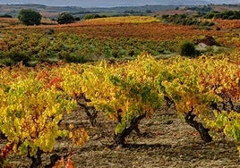 La Ley del Paisaje incorpora propuestas de 16 entidades en su fase de exposición pública