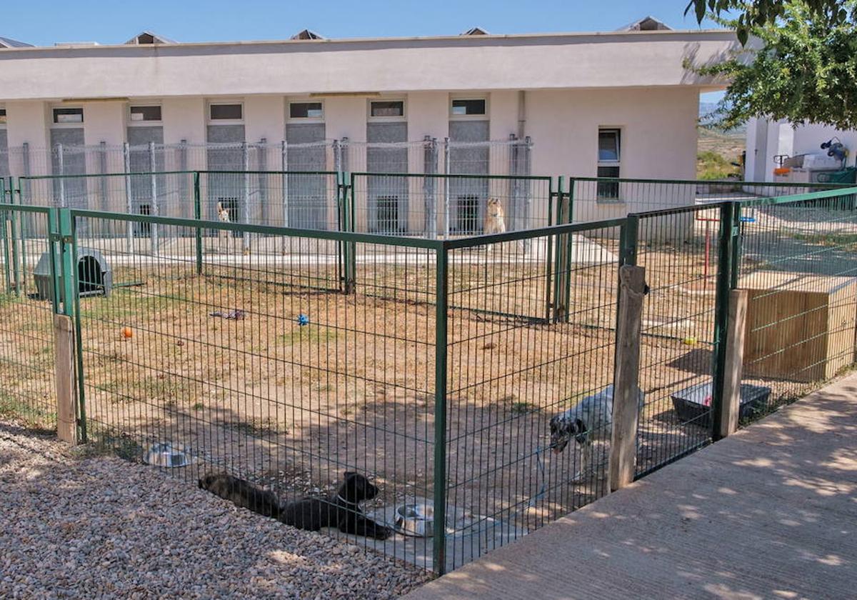 Centro de acogida de animales, popularmente conocido como 'perrera', en una imagen de archivo.