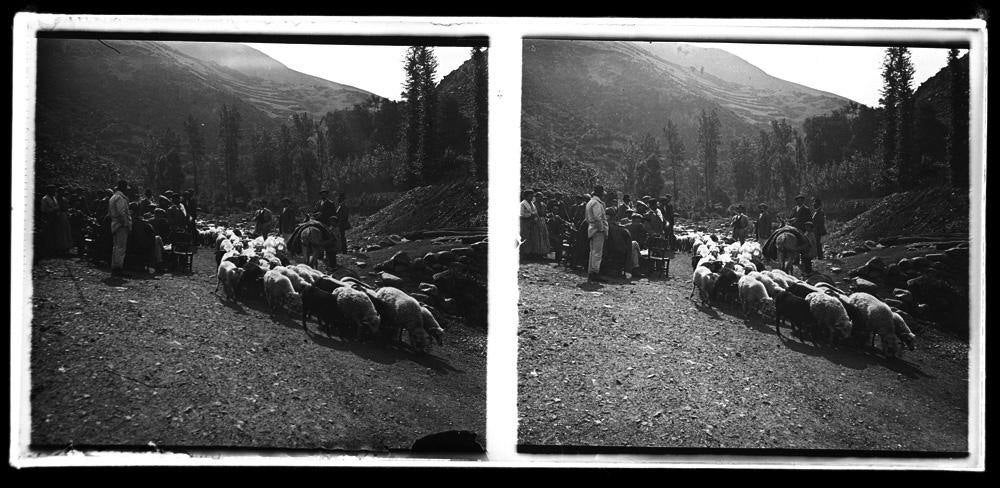 Selección de la exposición &#039;Conde de Polentinos. Fotografías estereoscópicas&#039;