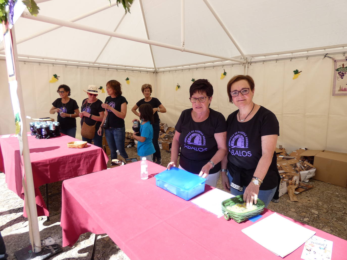 Jornadas de Puertas Abiertas de las bodegas de Ábalos