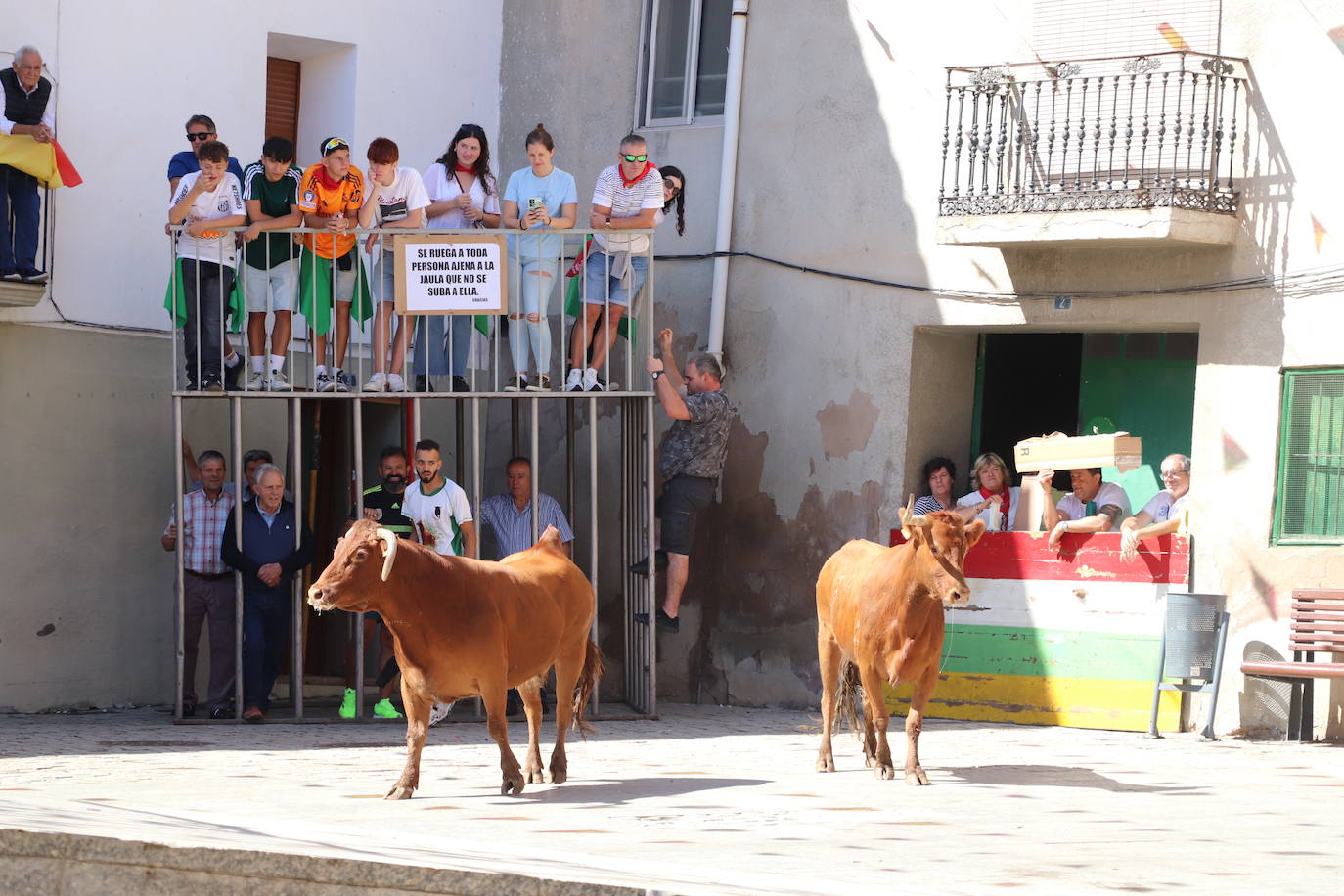 El día de las peñas de Autol, en imágenes