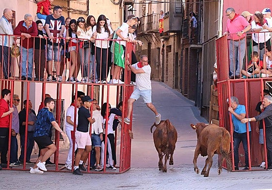 El día de las peñas de Autol, en imágenes