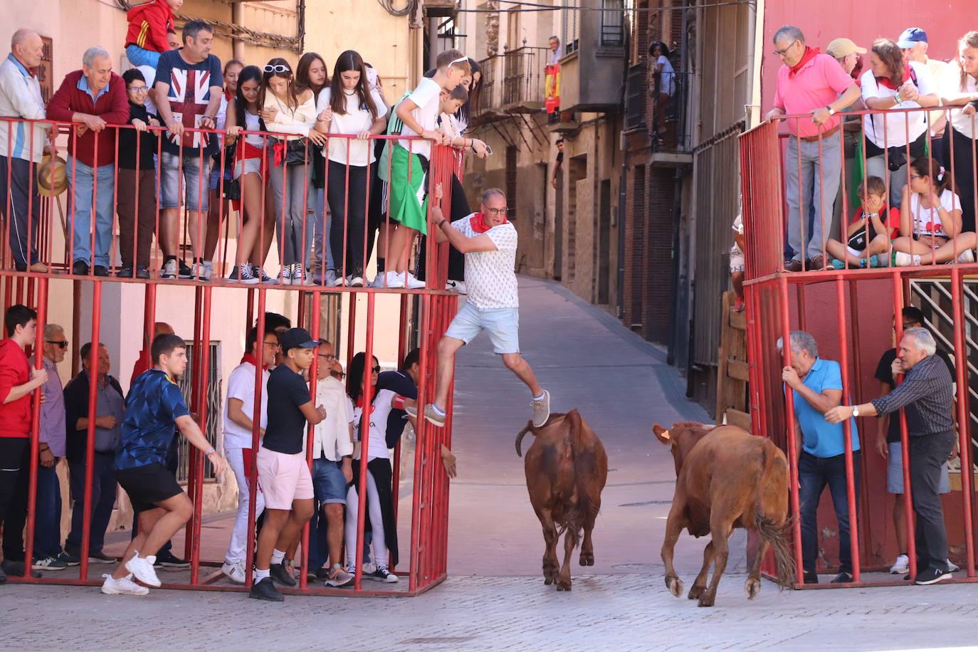 El día de las peñas de Autol, en imágenes
