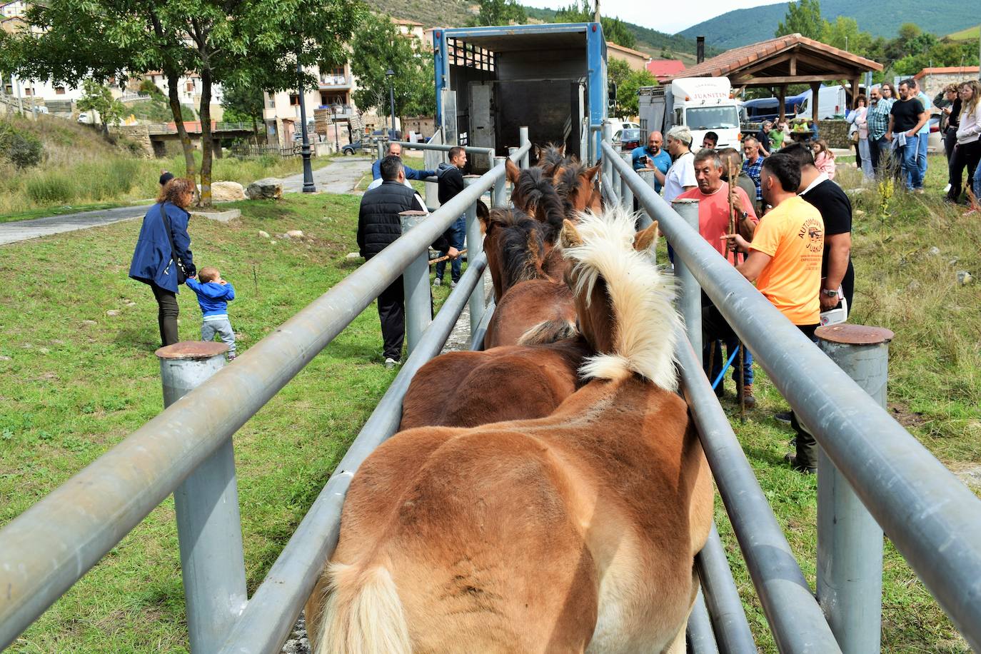 XXVII Feria Ganadera de Villoslada de Cameros