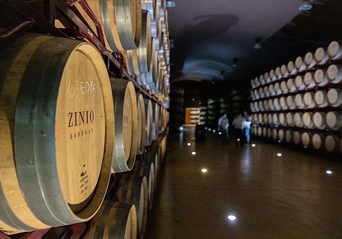 Sala de barricas que alberga 3.600 cubas.