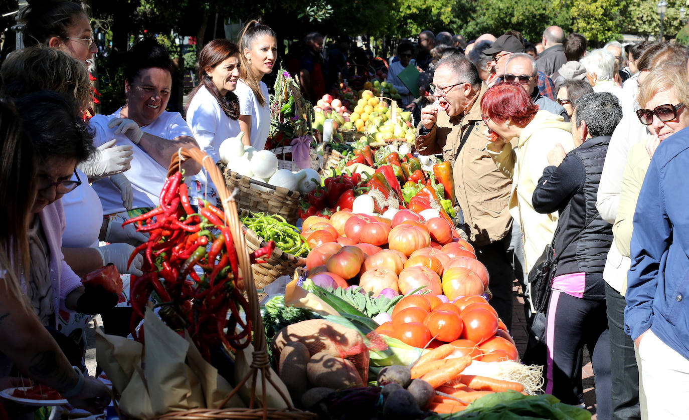 El Espolón acoge la 55 edición del Concurso Agrícola