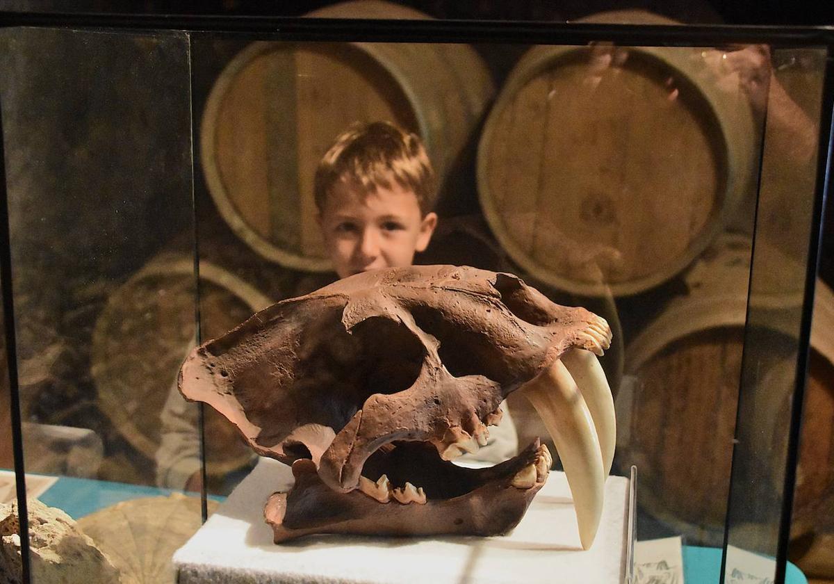 Ciencia en el Barrio Bodegas de Quel