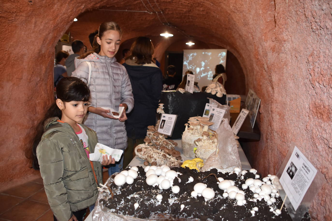 Ciencia en el Barrio Bodegas de Quel