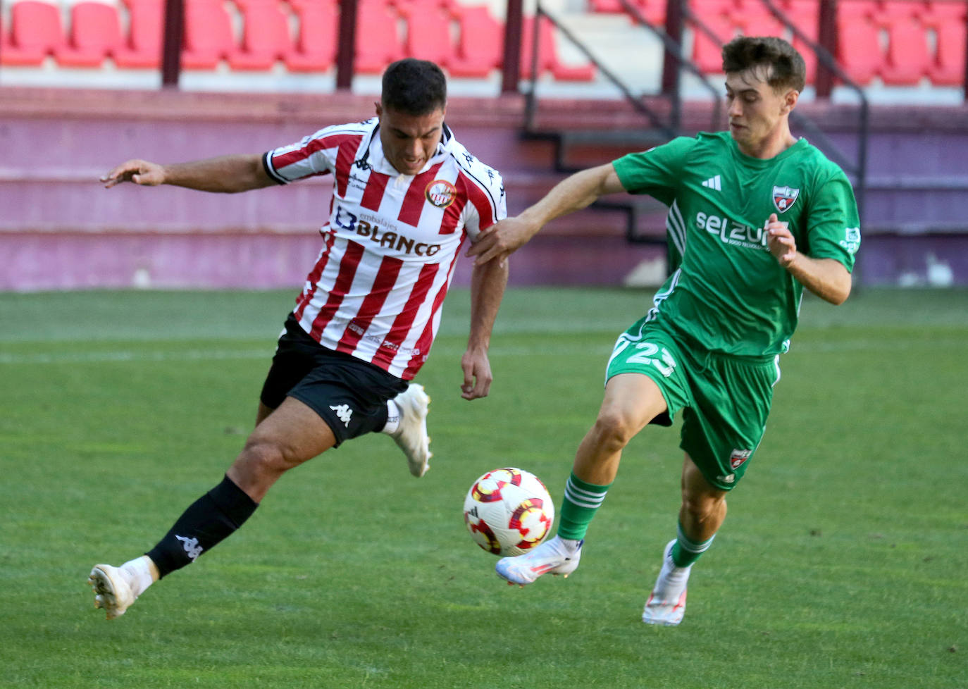 El partido SDL-Arenas