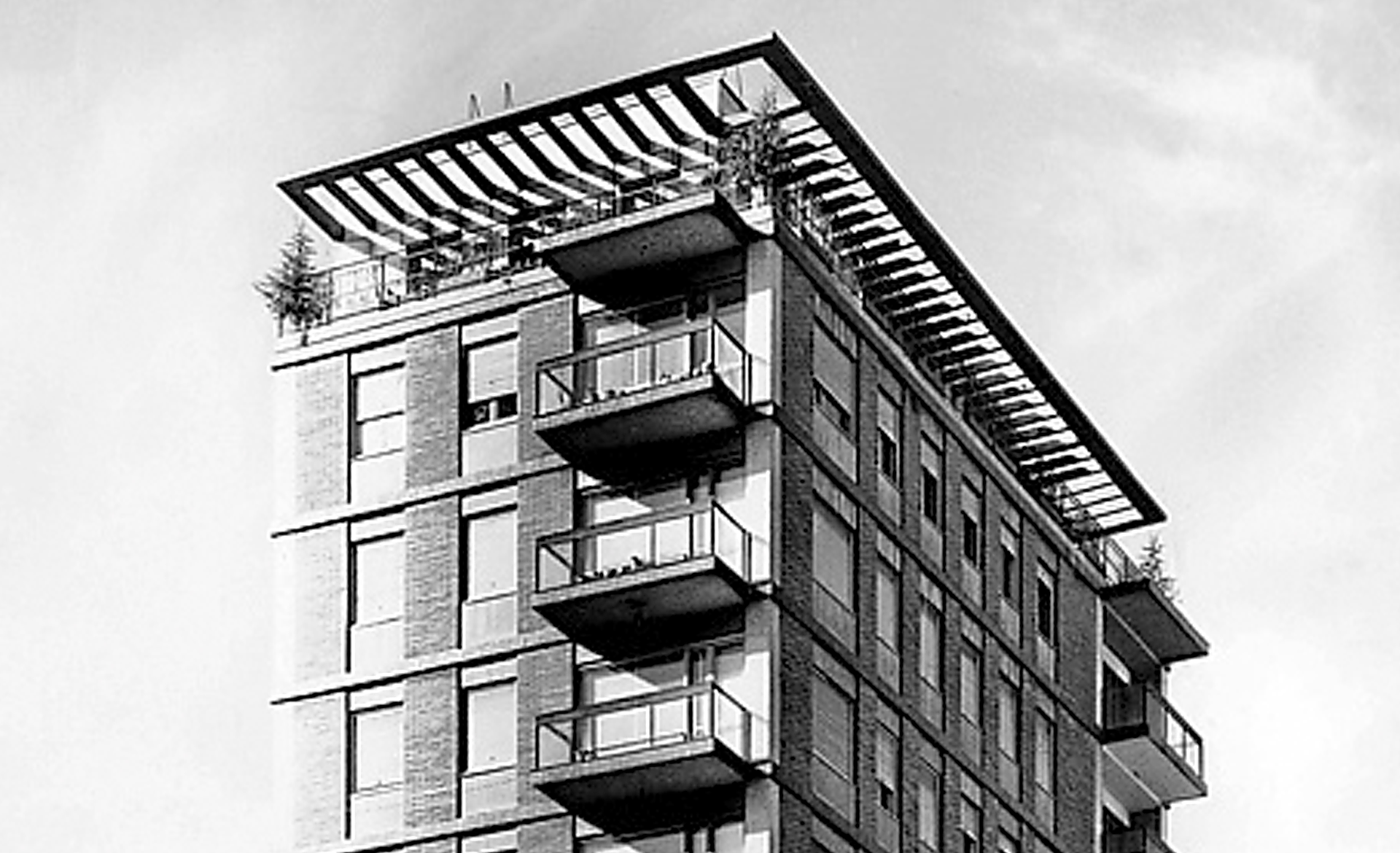 Scroll Story imagen 0