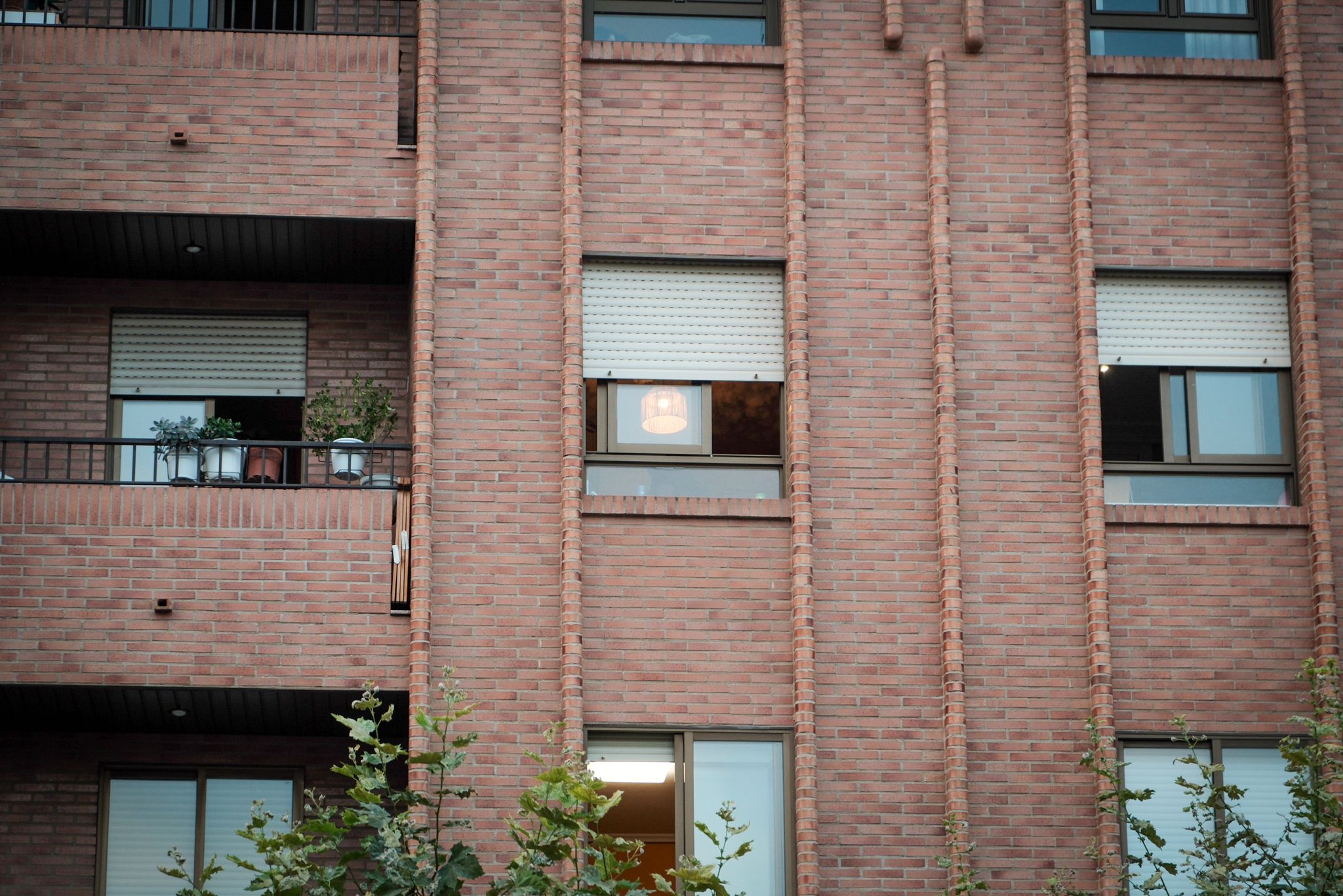 Redada y detención en la calle Estambrera de Logroño