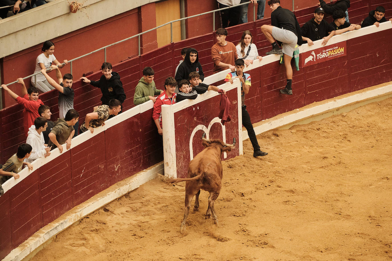 La primera jornada de vaquillas, un éxito