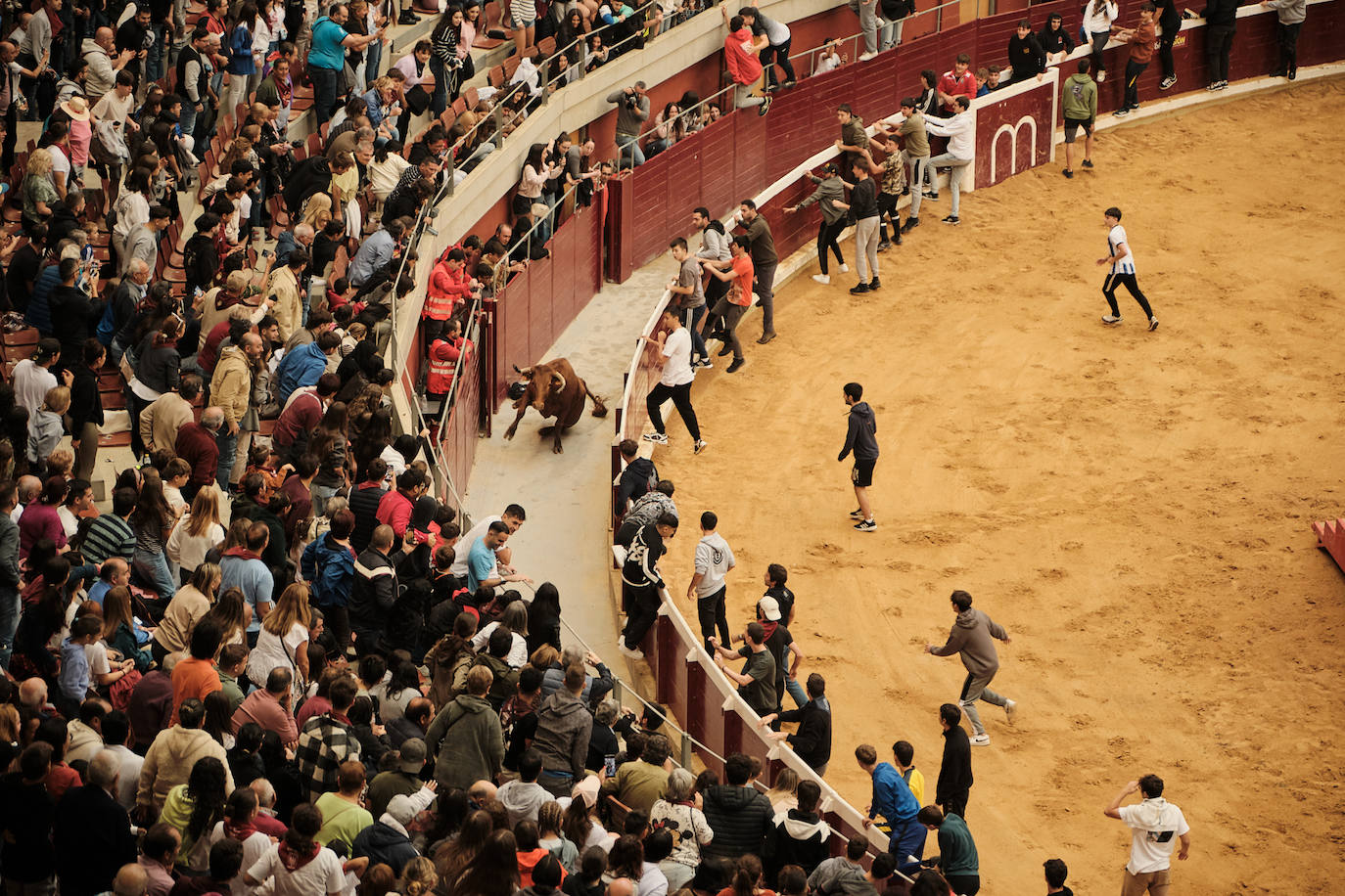 La primera jornada de vaquillas, un éxito
