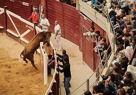 Una de las vacas de Arriazu intenta saltar al callejón.