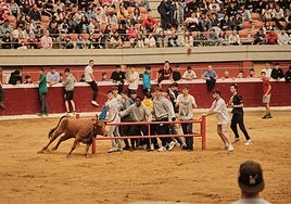 Lleno total en las vaquillas: las imágenes