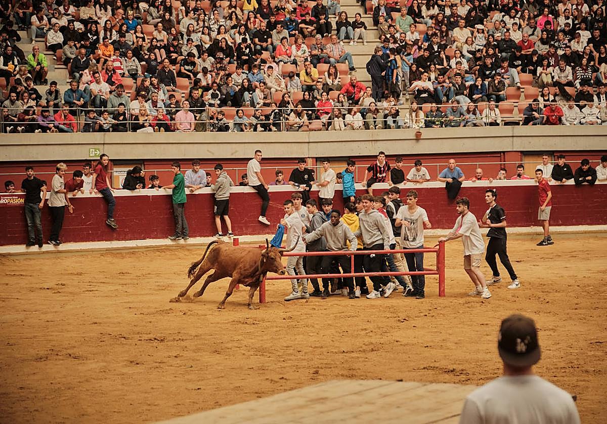 Lleno total en las vaquillas: las imágenes