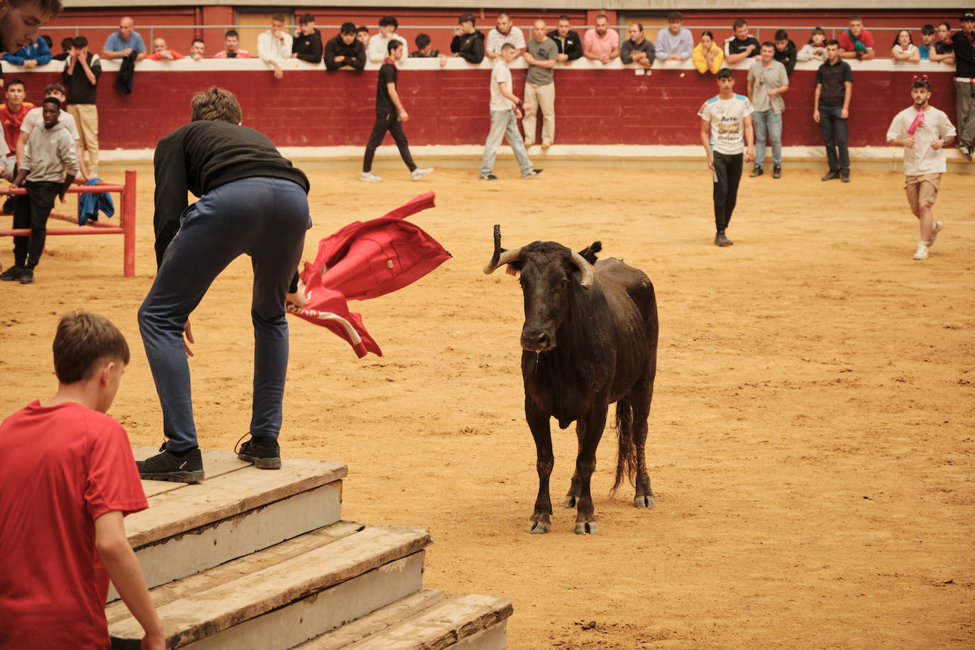 Lleno total en las vaquillas: las imágenes