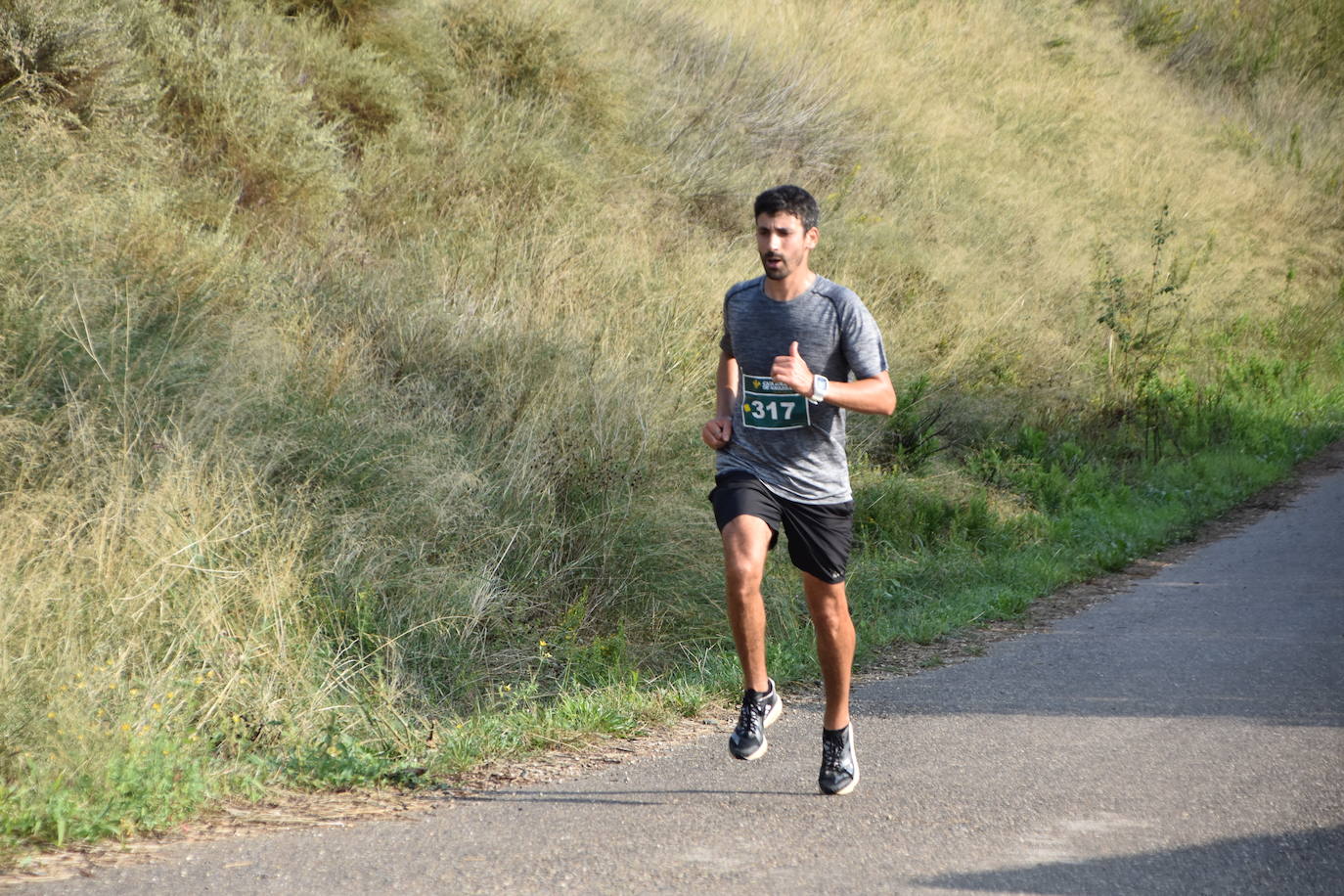 Búscate en la segunda etapa de la Ruta Jacobea del Ebro