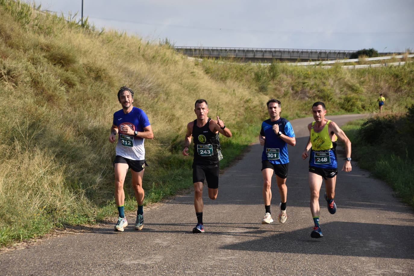 Búscate en la segunda etapa de la Ruta Jacobea del Ebro