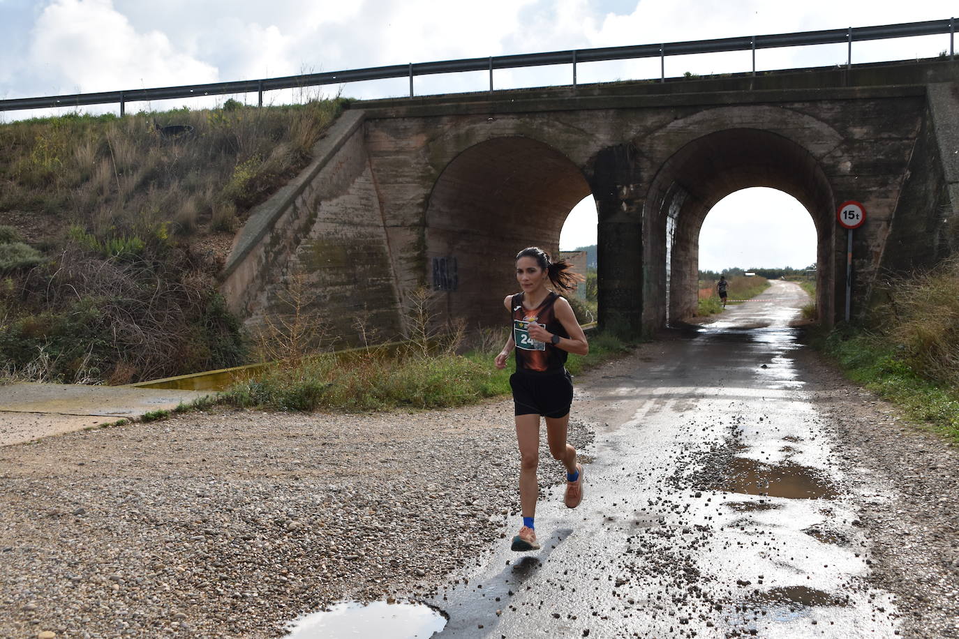 Búscate en la segunda etapa de la Ruta Jacobea del Ebro