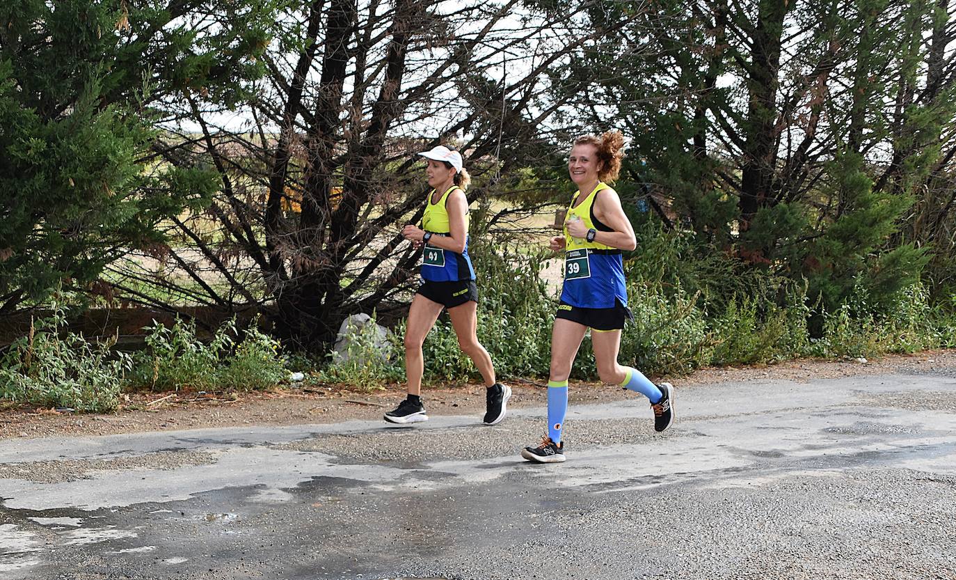 Búscate en la segunda etapa de la Ruta Jacobea del Ebro
