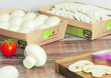 Los champiñones con El premio 'sabor del año'