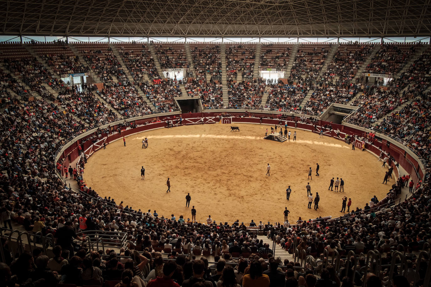 Emoción y risas en las vaquillas