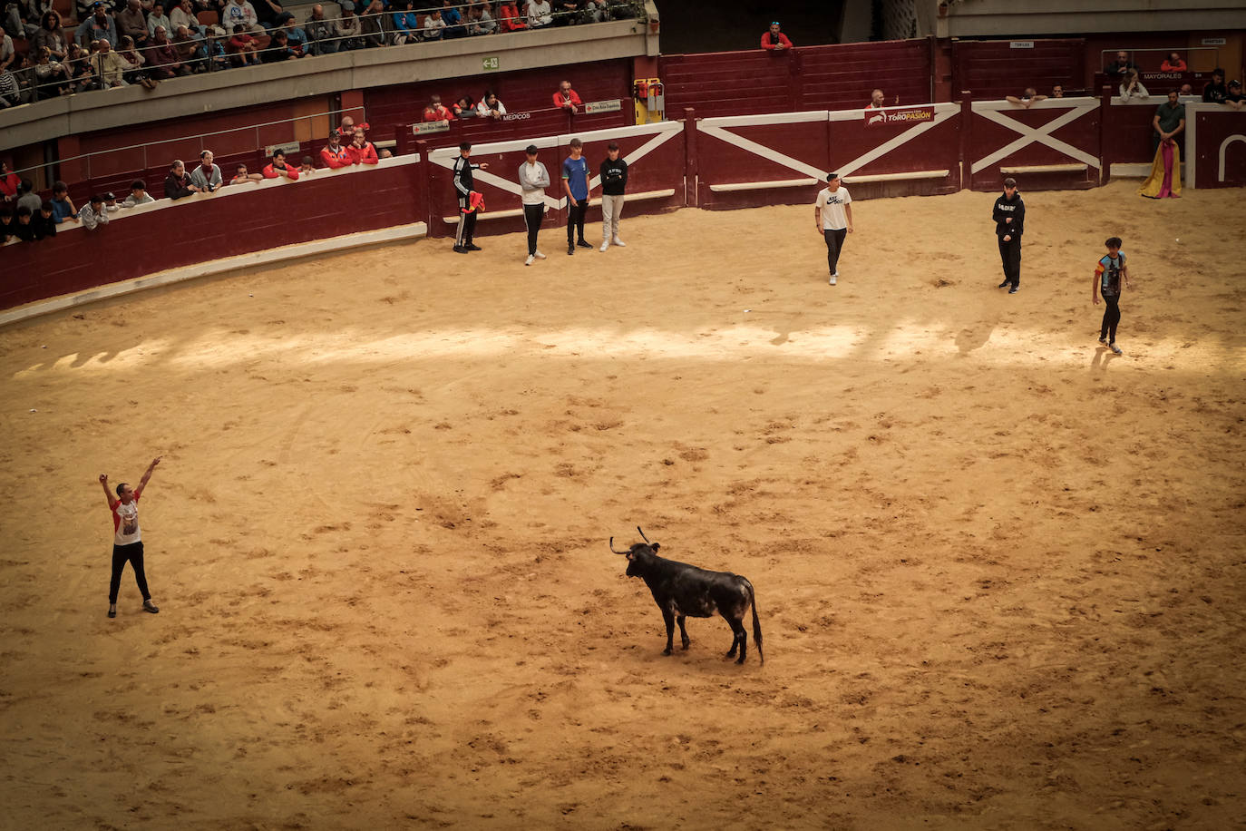 Emoción y risas en las vaquillas