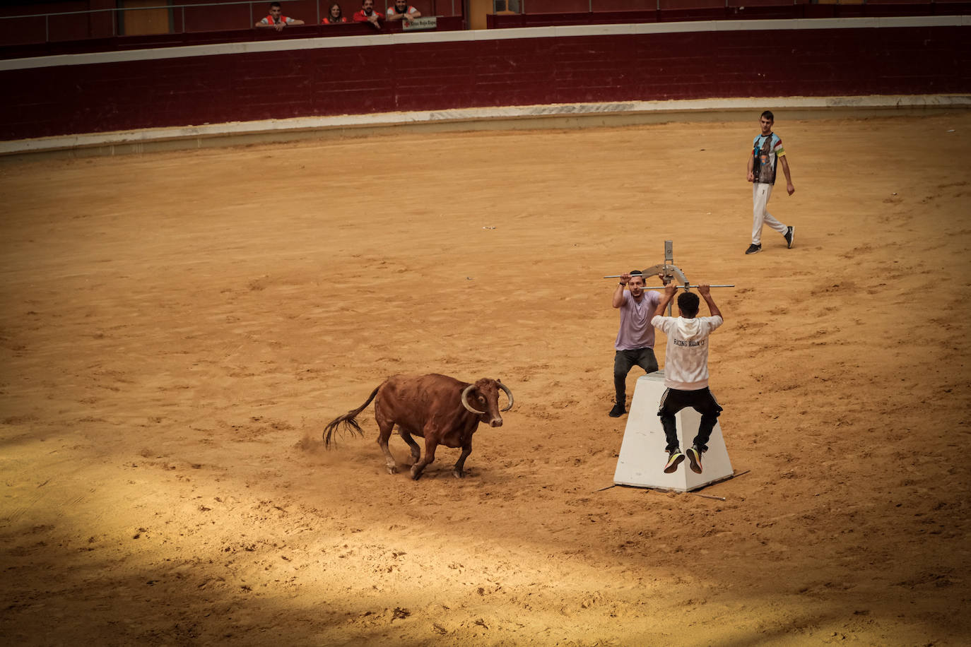 Emoción y risas en las vaquillas