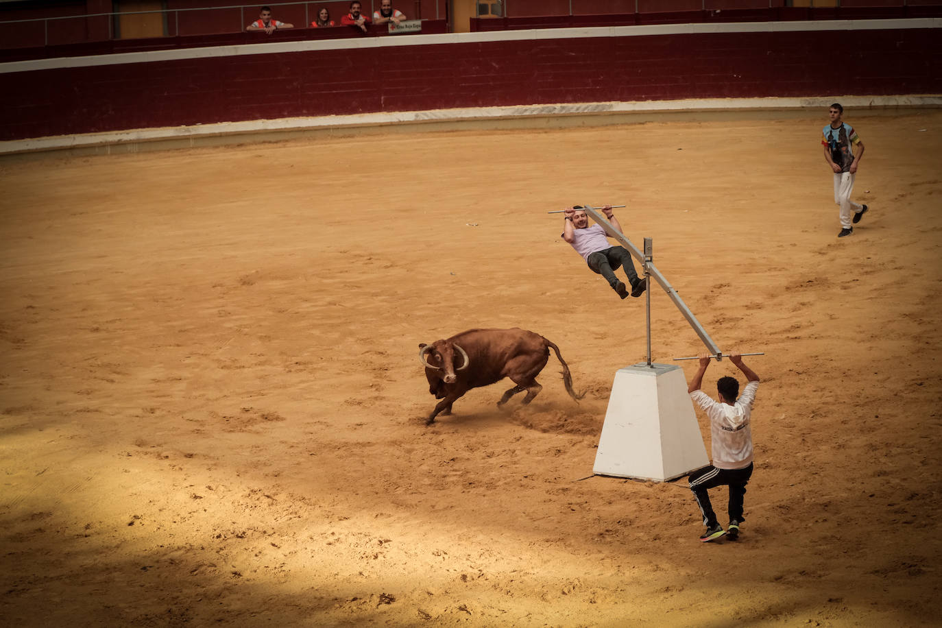Emoción y risas en las vaquillas