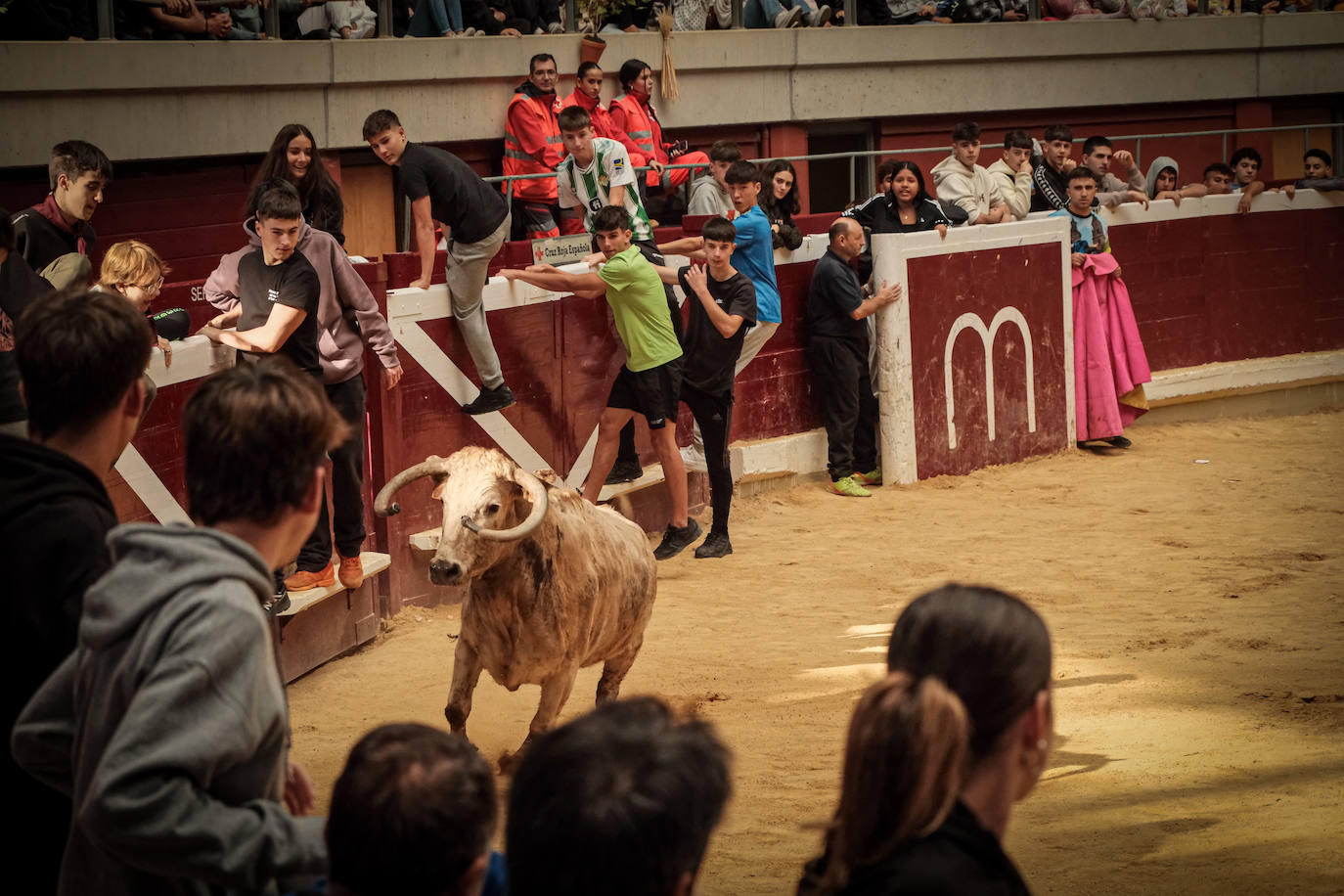 Emoción y risas en las vaquillas