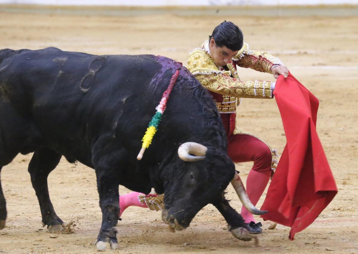 Imagen secundaria 1 - Toreo de Aguado y Roca Rey, en la arena