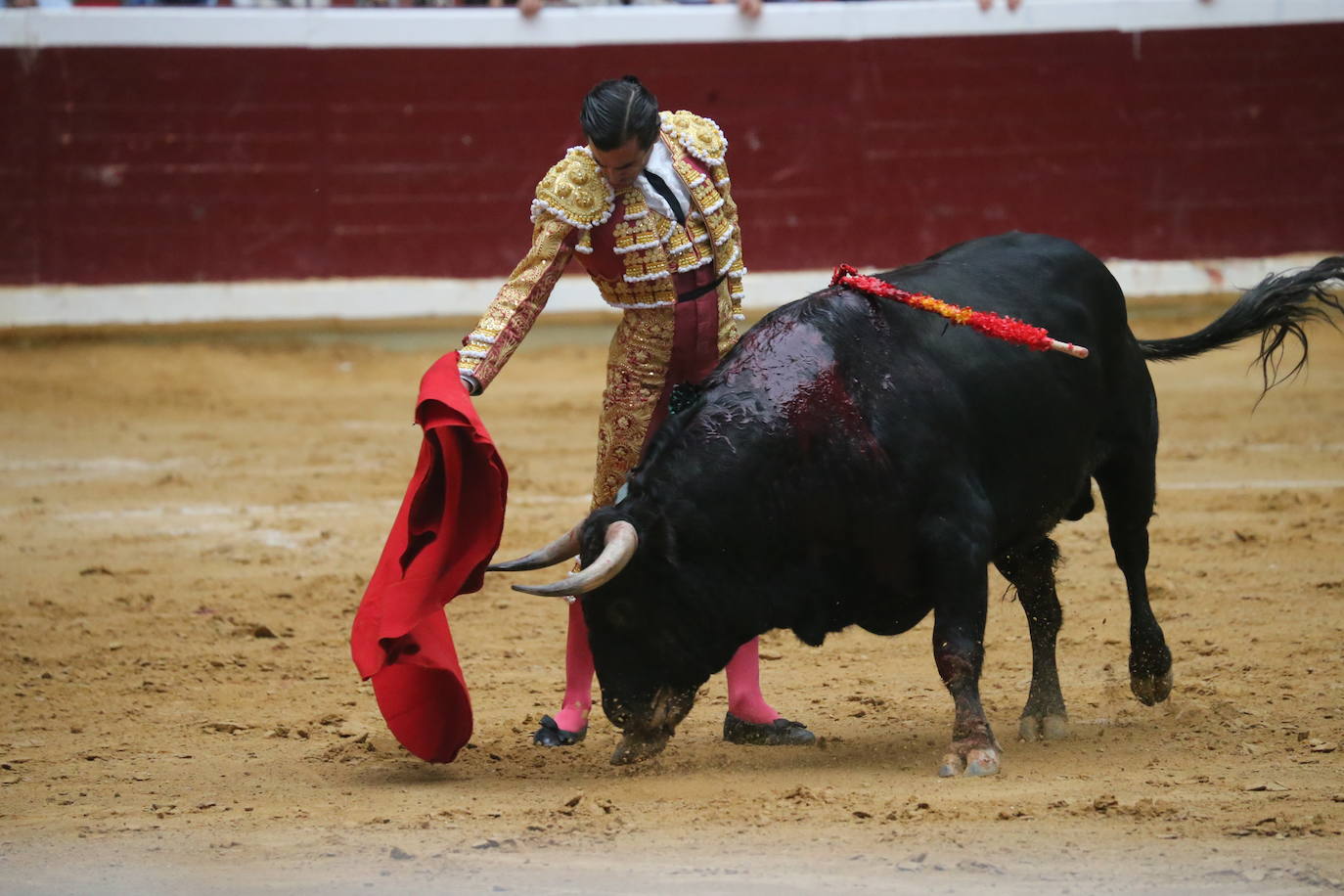 Aguado, Roca Rey y Ortega, en la tercera corrida de la feria de San Mateo