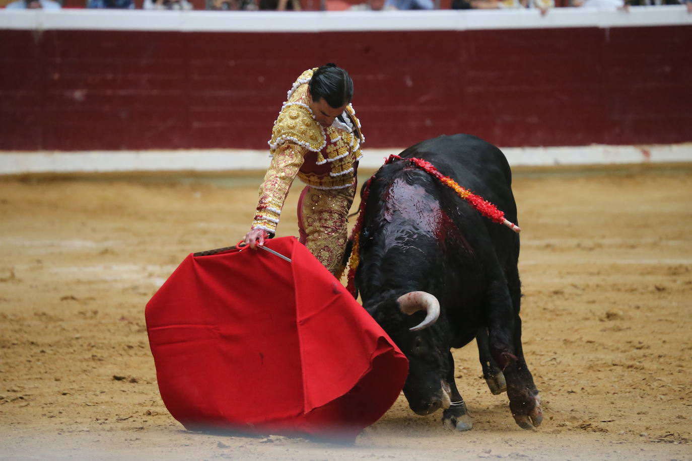 Aguado, Roca Rey y Ortega, en la tercera corrida de la feria de San Mateo