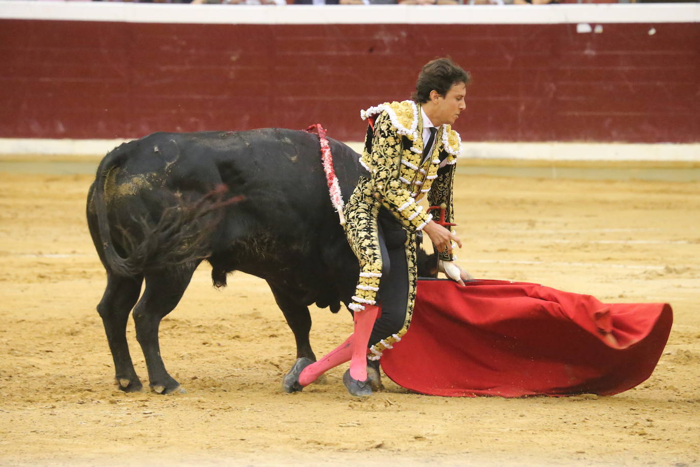 Aguado, Roca Rey y Ortega, en la tercera corrida de la feria de San Mateo