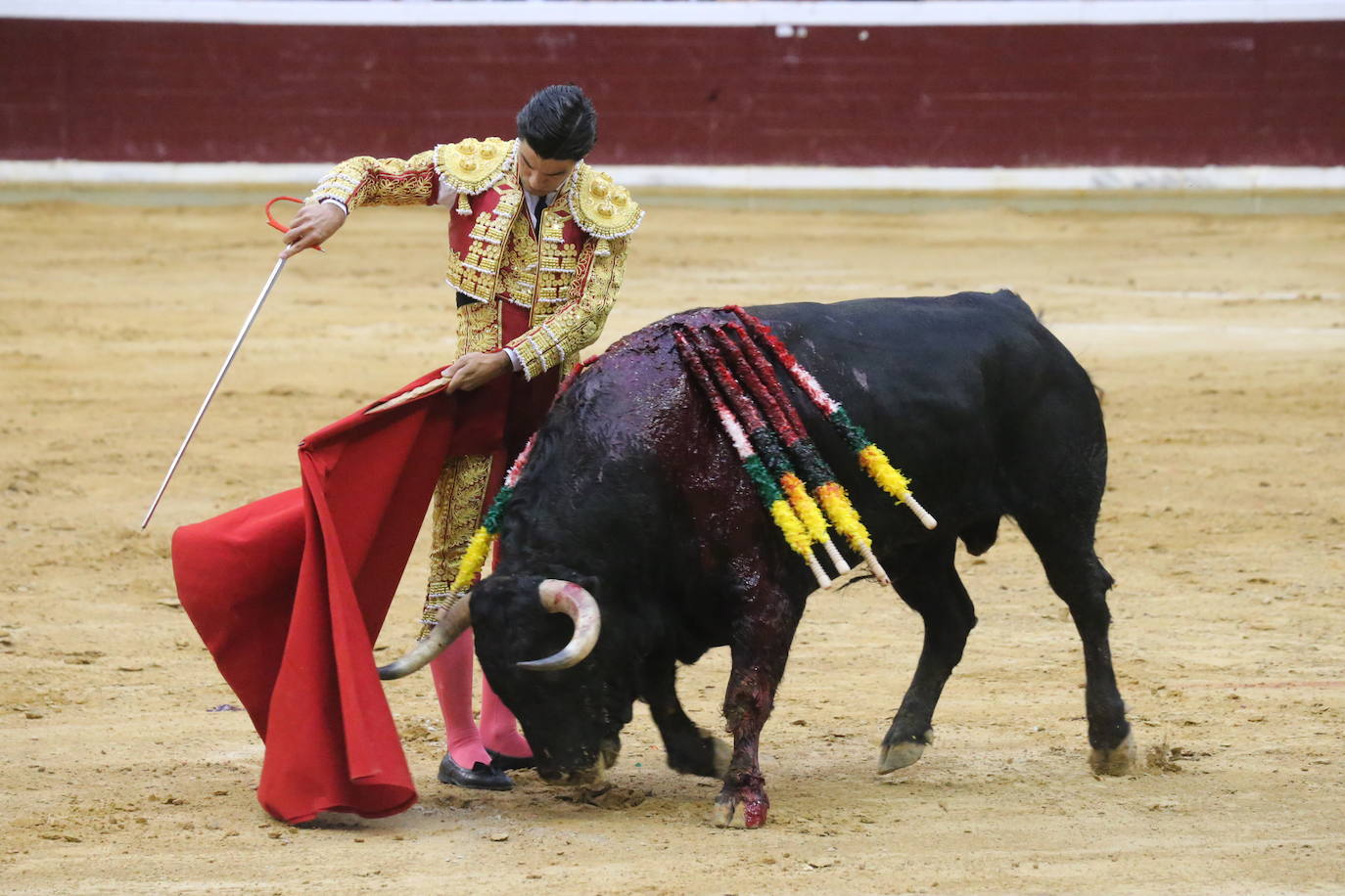 Aguado, Roca Rey y Ortega, en la tercera corrida de la feria de San Mateo