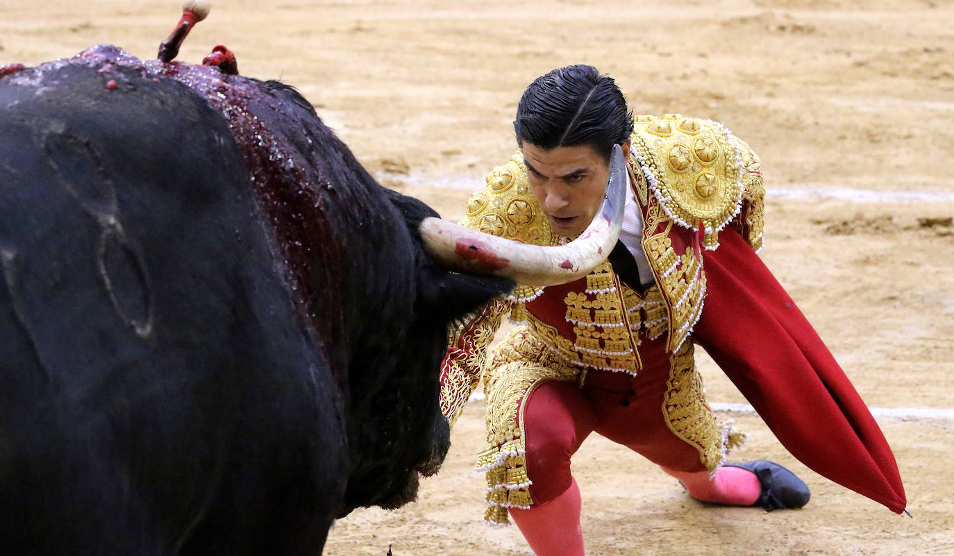 Aguado, Roca Rey y Ortega, en la tercera corrida de la feria de San Mateo